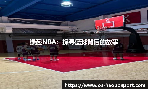 缘起NBA：探寻篮球背后的故事