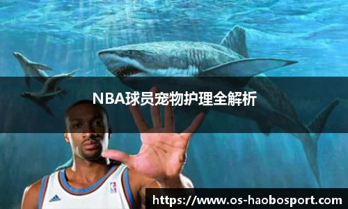 NBA球员宠物护理全解析